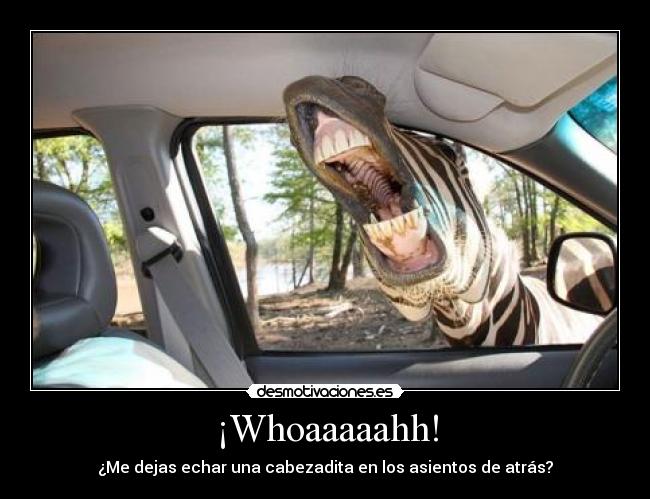 ¡Whoaaaaahh! - ¿Me dejas echar una cabezadita en los asientos de atrás?