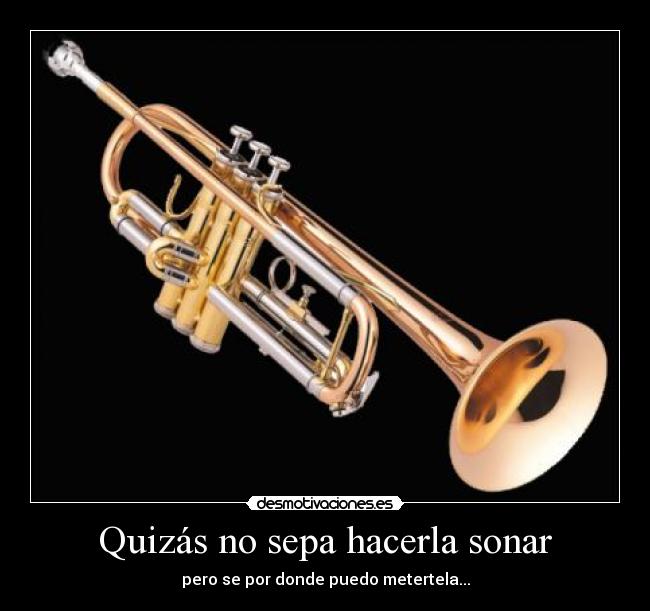 Quizás no sepa hacerla sonar -