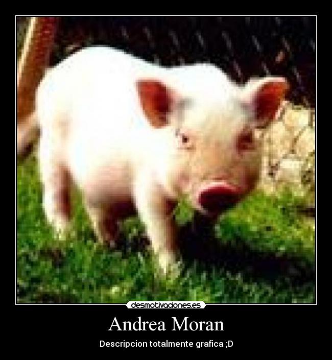 Andrea Moran -