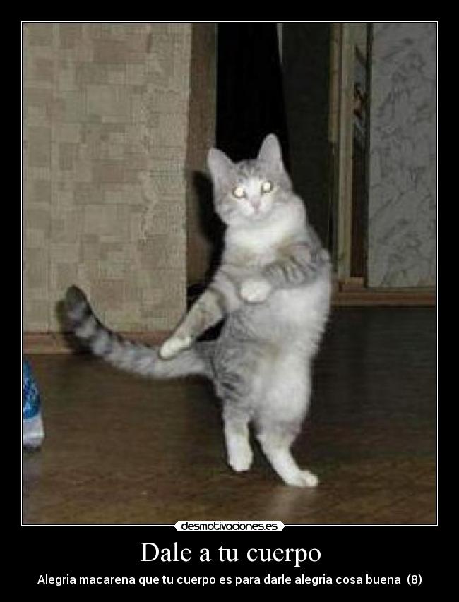 Dale a tu cuerpo - Alegria macarena que tu cuerpo es para darle alegria cosa buena (8)