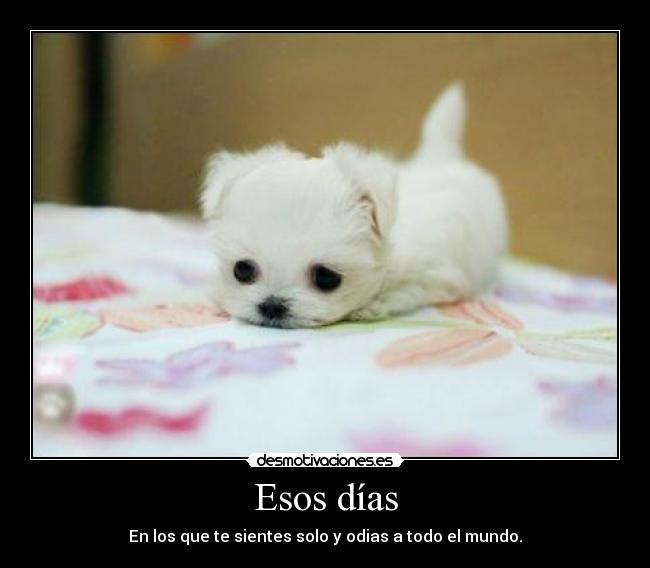 Esos días - 
