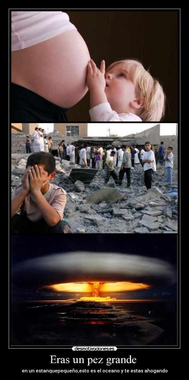 Eras un pez grande -