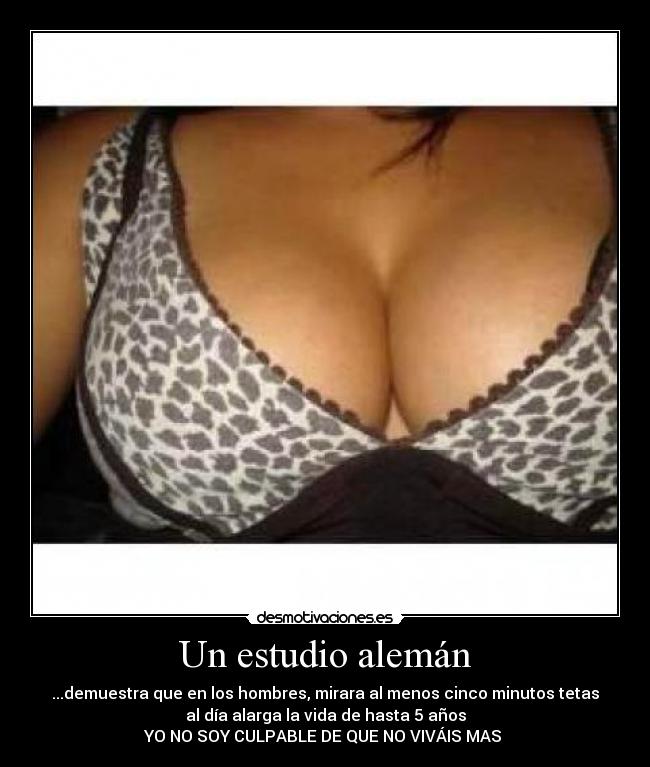 Un estudio alemán -