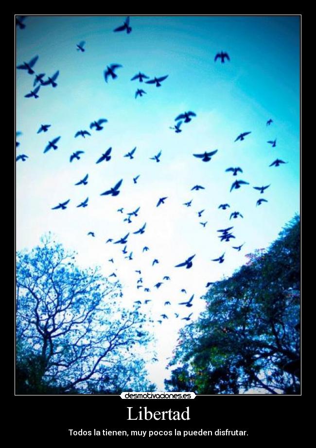 Libertad - Todos la tienen, muy pocos la pueden disfrutar.