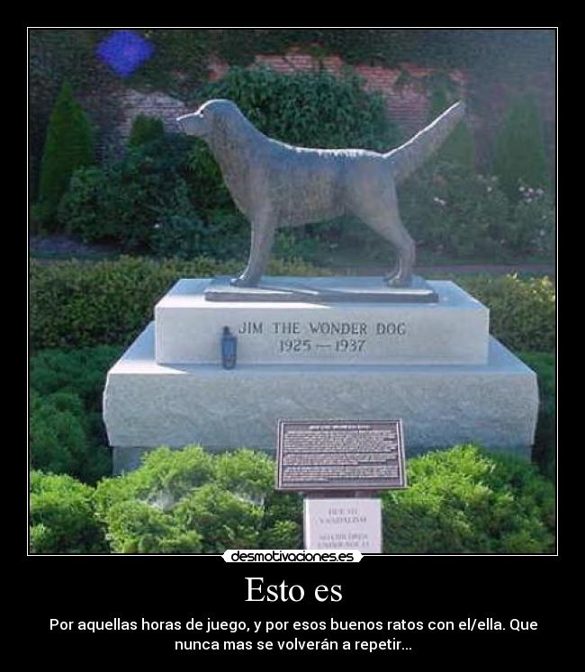 carteles perros desmotivaciones