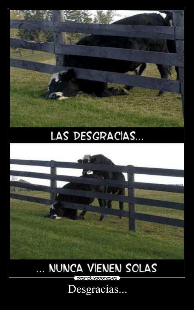 Desgracias... - 
