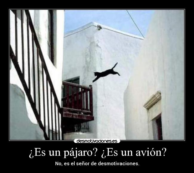 ¿Es un pájaro? ¿Es un avión? - No, es el señor de desmotivaciones.