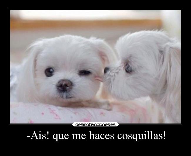 -Ais! que me haces cosquillas! -