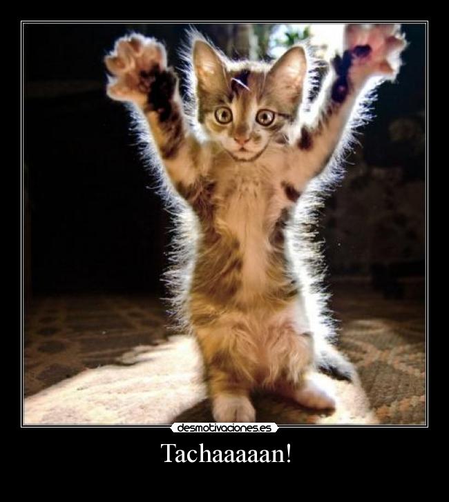 Tachaaaaan! -