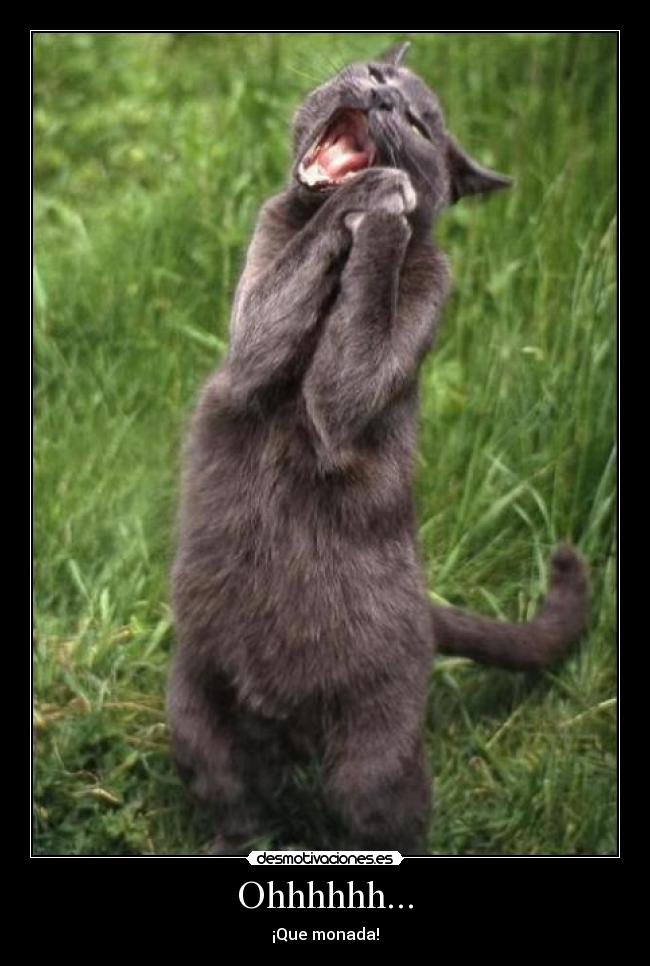 Ohhhhhh... - ¡Que monada!