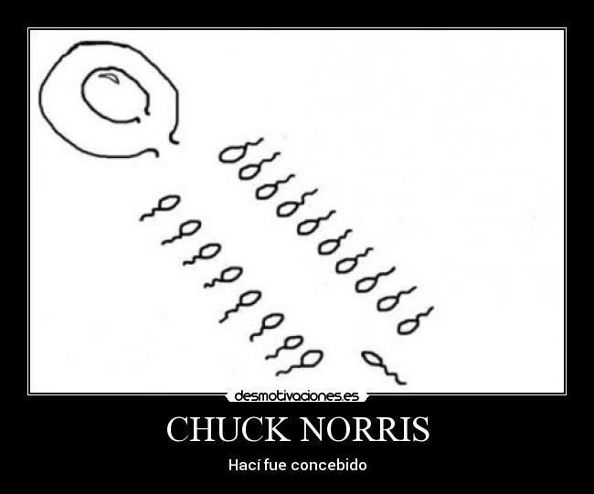 CHUCK NORRIS - 