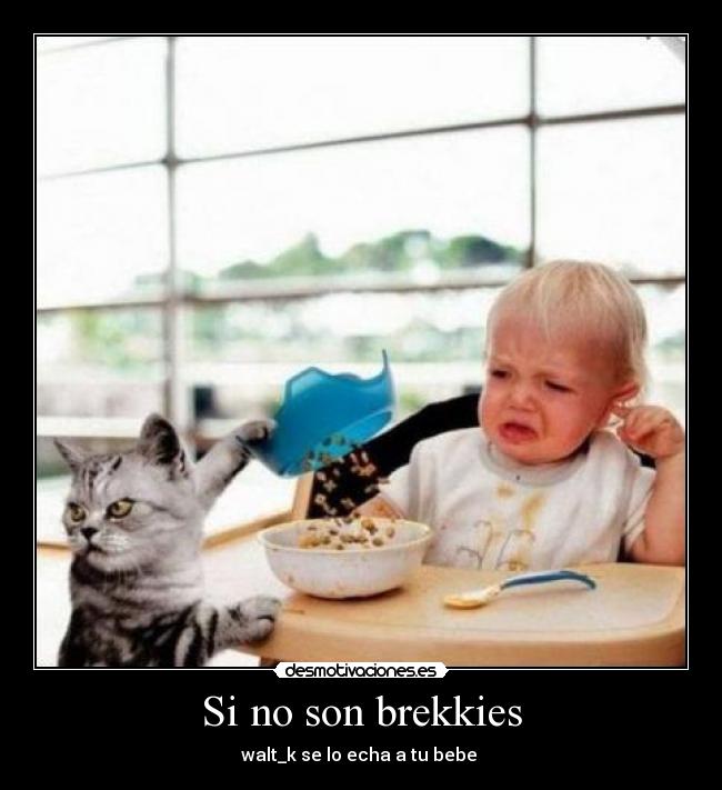 Si no son brekkies - walt_k se lo echa a tu bebe