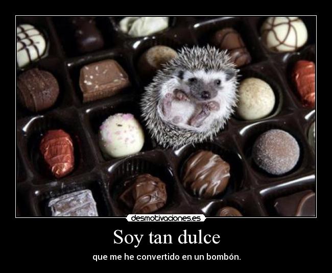 Soy tan dulce - que me he convertido en un bombón.