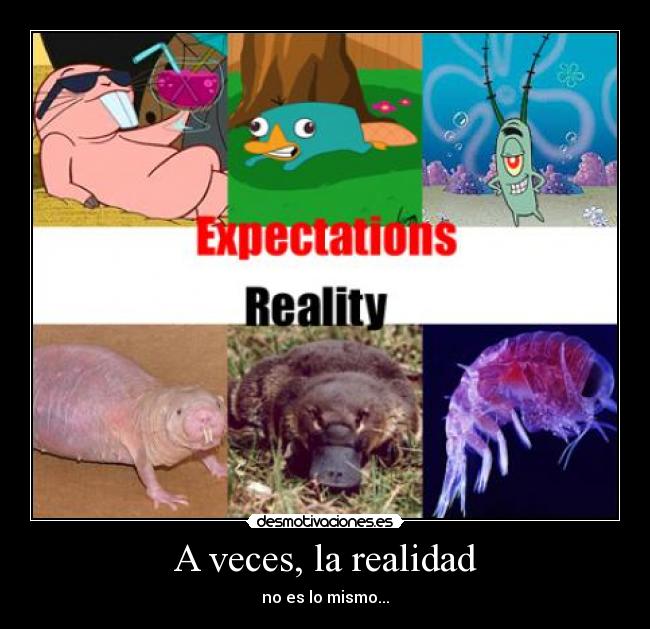 A veces, la realidad -
