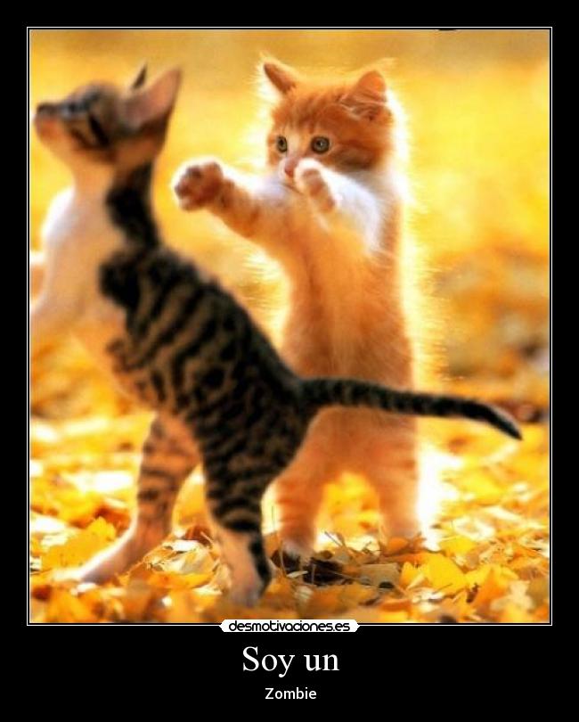 Soy un - Zombie