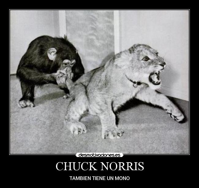 CHUCK NORRIS -