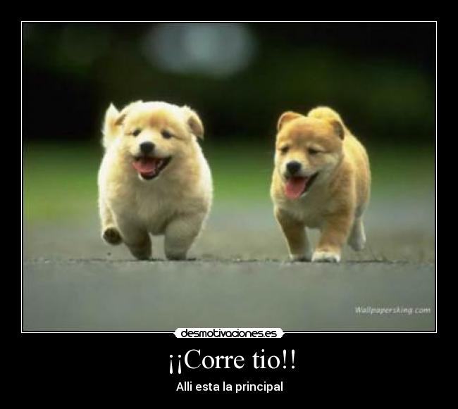 ¡¡Corre tio!! - Alli esta la principal
