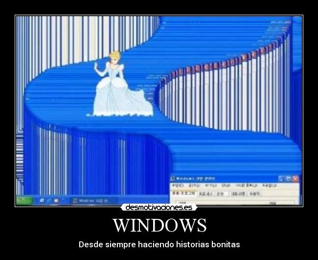 WINDOWS -
