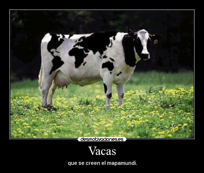Vacas -