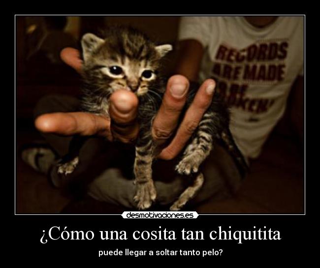 ¿Cómo una cosita tan chiquitita - 