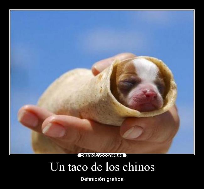 Un taco de los chinos - 