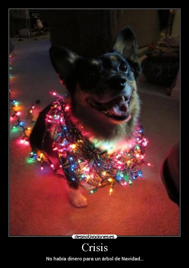 Crisis - No había dinero para un árbol de Navidad...