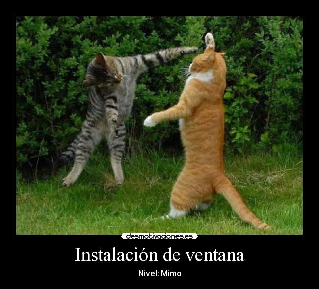 Instalación de ventana - Nivel: Mimo