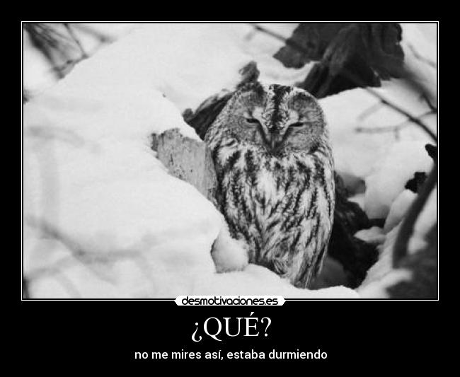 ¿QUÉ? - no me mires así, estaba durmiendo