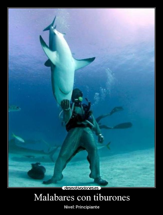 Malabares con tiburones -