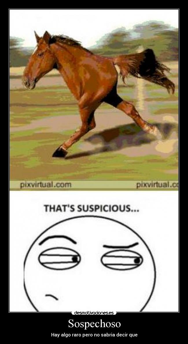 Sospechoso - 