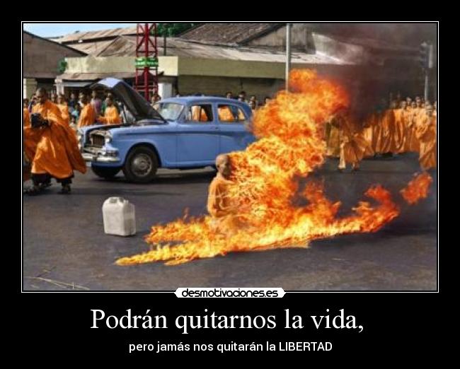 Podrán quitarnos la vida, -