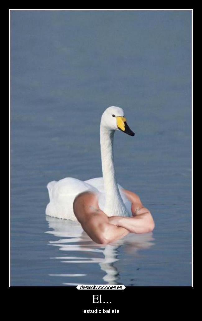 El... - estudio ballete