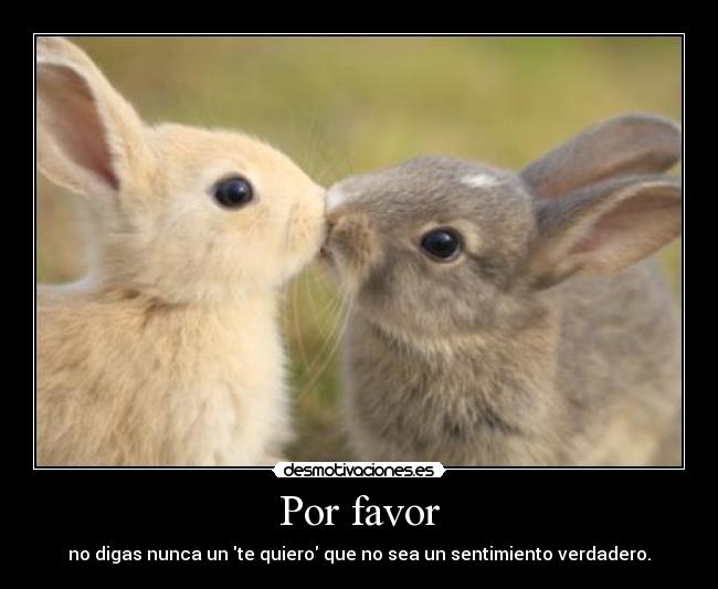carteles quiero amor sentir falso desmotivaciones