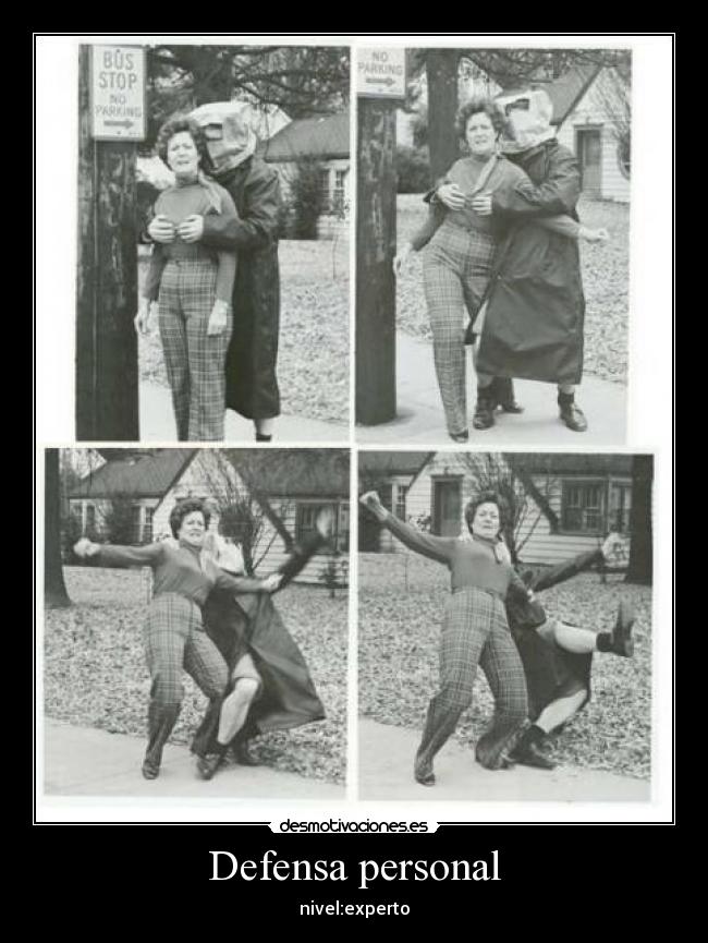 Defensa personal - nivel:experto