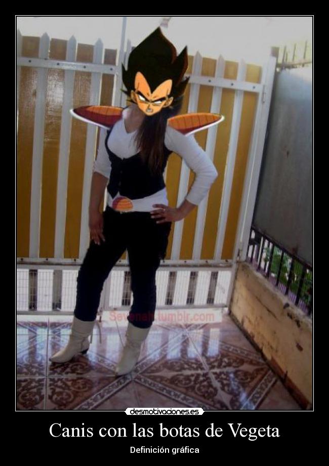 Canis con las botas de Vegeta - 