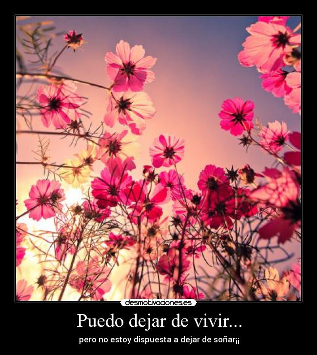 carteles morir sonar desmotivaciones