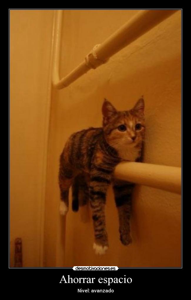 Ahorrar espacio - Nivel: avanzado
