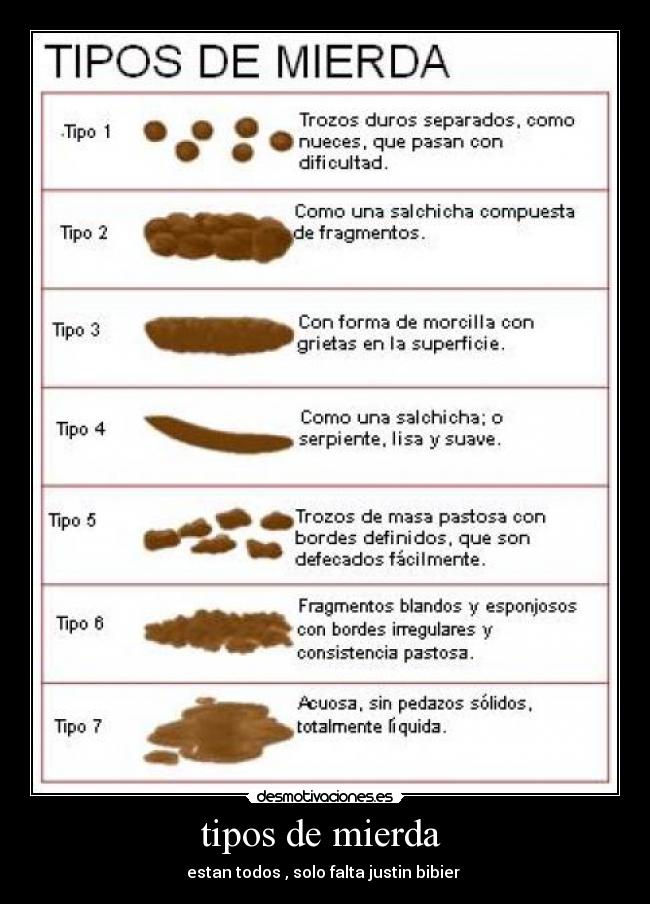 carteles justin mierda caca cagar agua pelotas mochila troncos desmotivaciones
