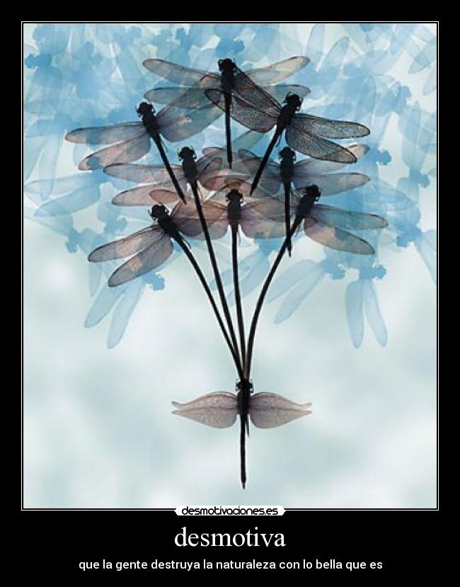desmotiva - que la gente destruya la naturaleza con lo bella que es