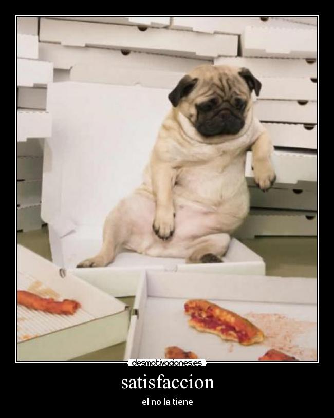 satisfaccion - el no la tiene