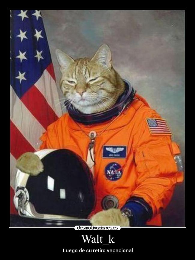 Walt_k - Luego de su retiro vacacional