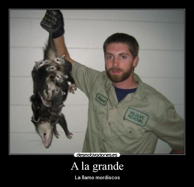 A la grande - La llamo mordiscos