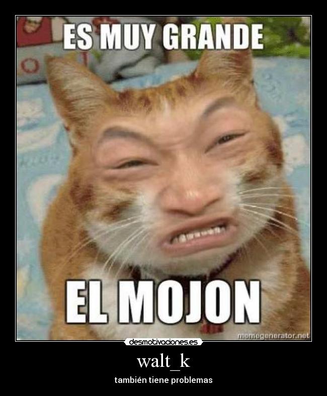 carteles walt_kproblemasgato desmotivaciones