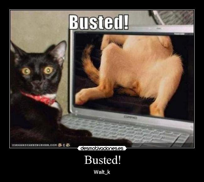 Busted! -