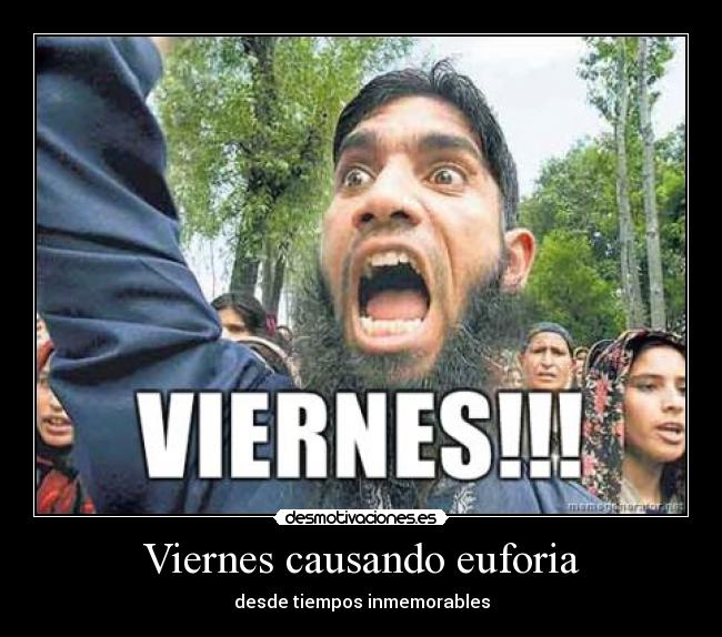 carteles viernes desmotivaciones