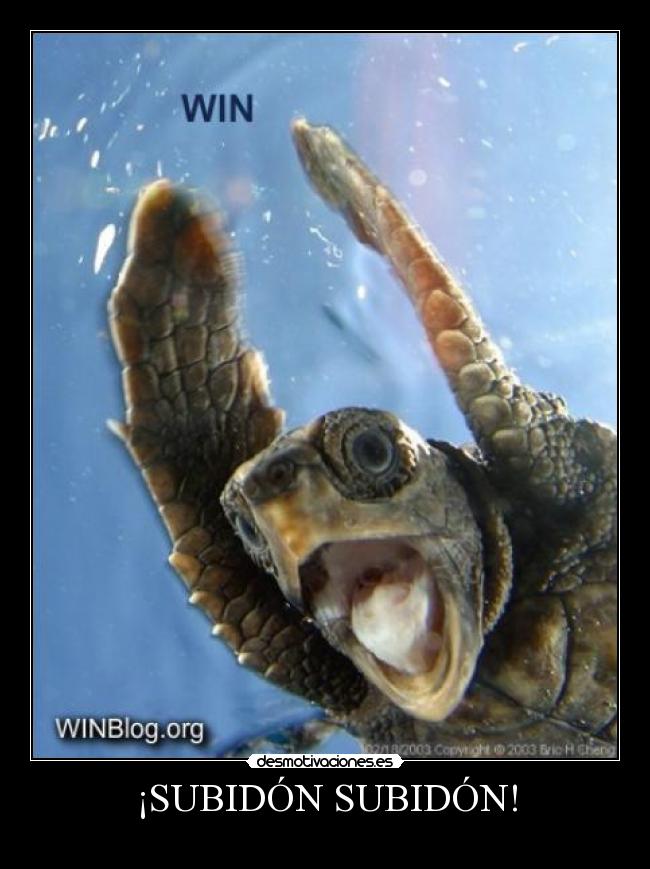 ¡SUBIDÓN SUBIDÓN! -