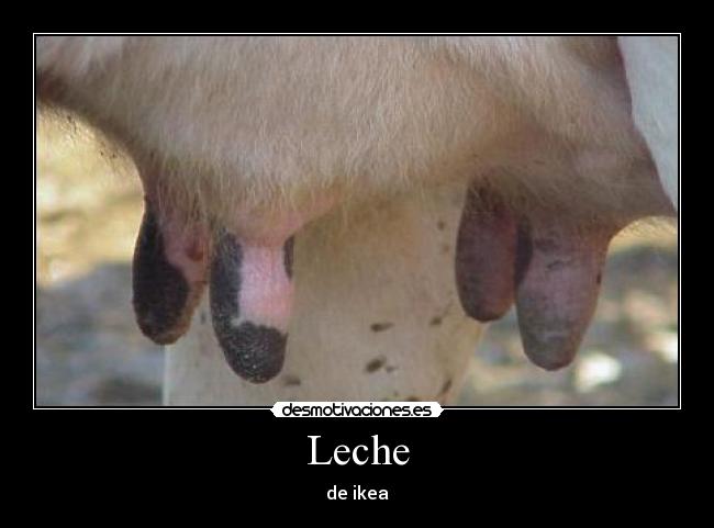 Leche - de ikea