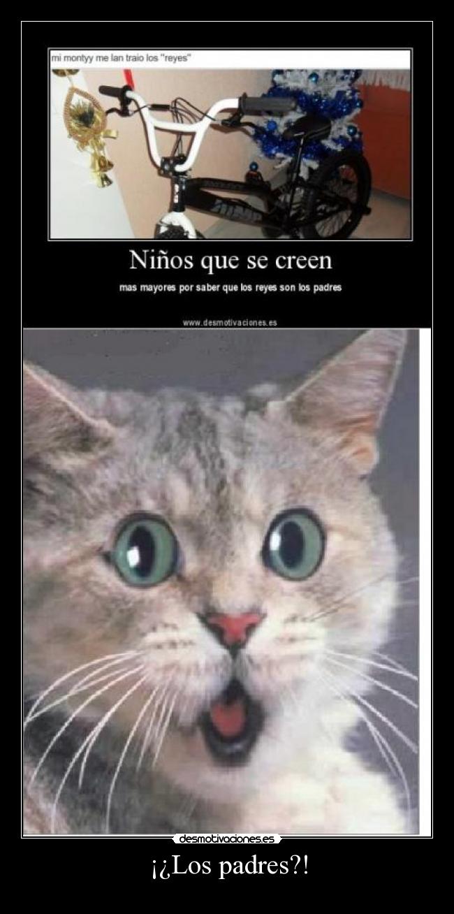 ¡¿Los padres?! - 