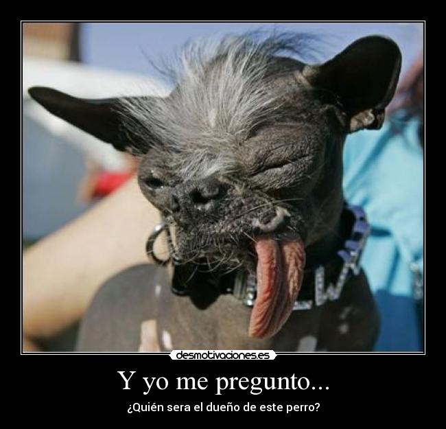 Y yo me pregunto... -