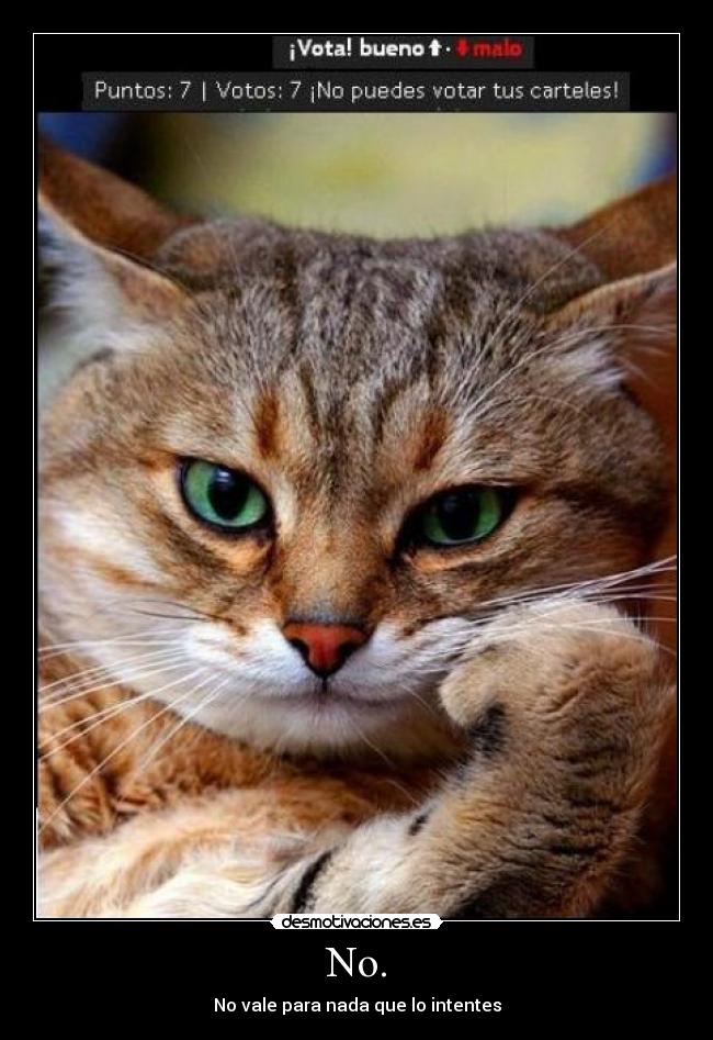 No. - No vale para nada que lo intentes